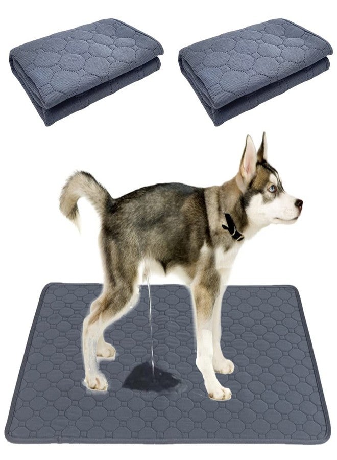 Petlicious & More® Washable Training Pads for Dogs | Non Slip Pads for Puppies (60X90 cm) | Reusable Pads| Reusable Training Pads for Puppies (Set of 2) - Image 1